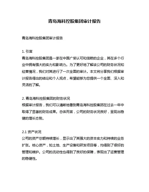 青岛海科控股集团审计报告