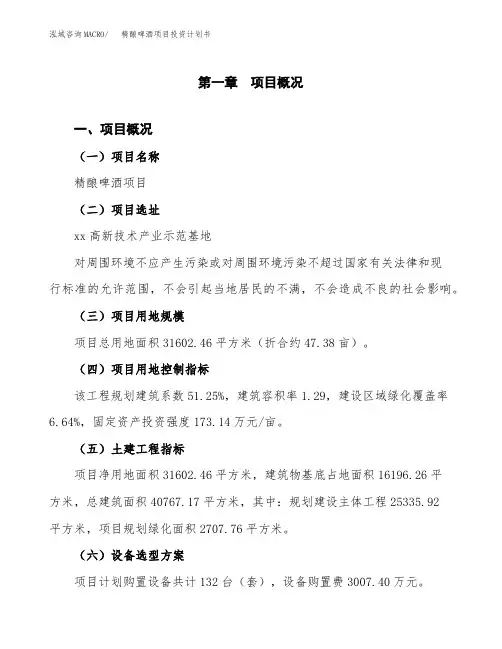精酿啤酒项目投资计划书-项目规划