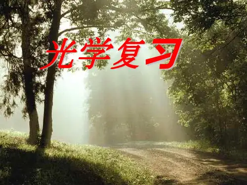 光现象复习PPT教学课件