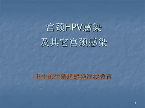 hpv与宫颈癌ppt课件