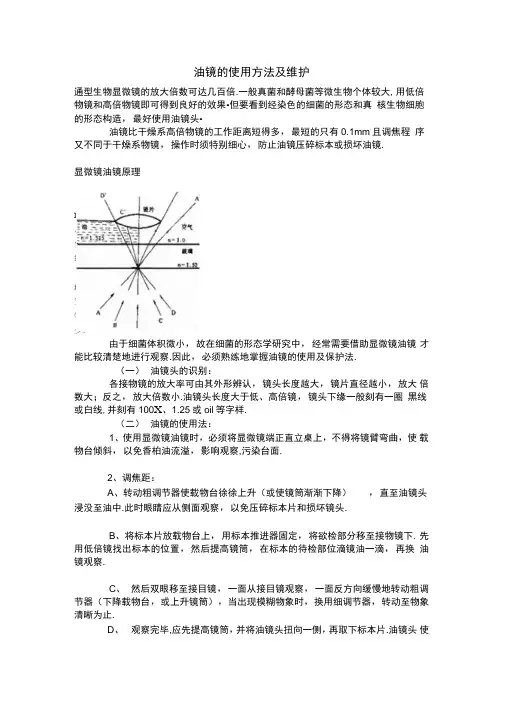 显微镜油镜的使用方法及维护