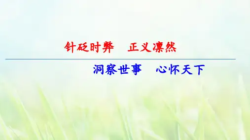 《中国人失掉自信力了吗》ppt课件