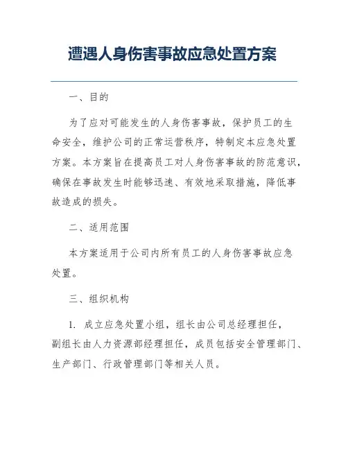 遭遇人身伤害事故应急处置方案