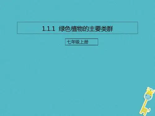 人教版 生物圈 精品PPT课件120