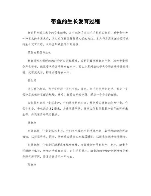 带鱼的生长发育过程
