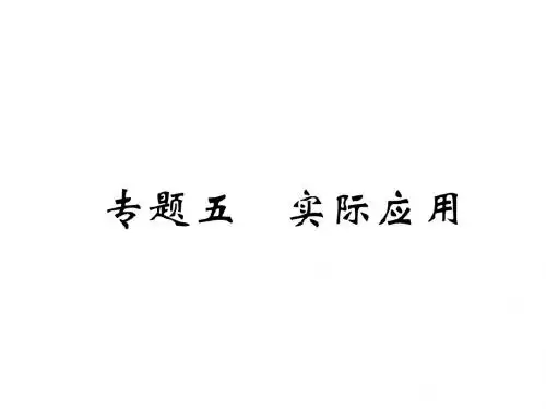 中考数学复习专题5实际应用(精讲)课件