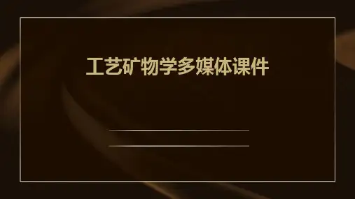 工艺矿物学多媒体课件