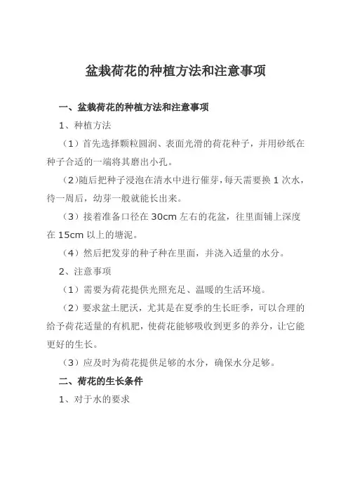 盆栽荷花的种植方法和注意事项