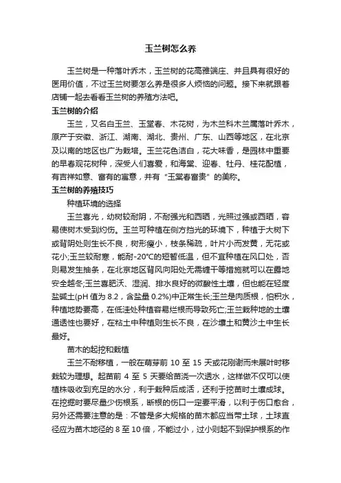 玉兰树怎么养