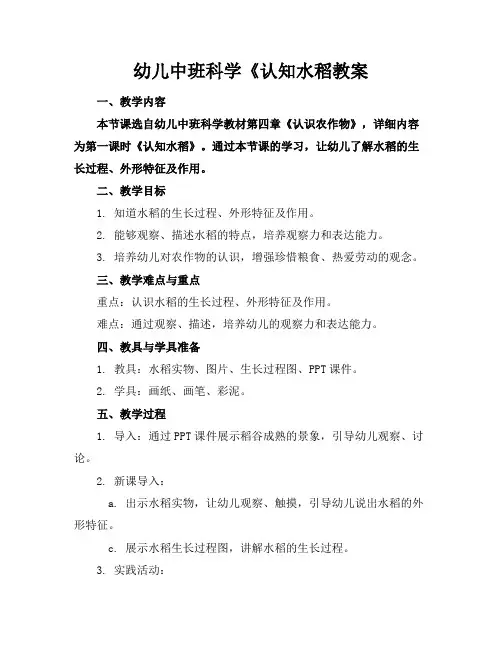 幼儿中班科学《认知水稻教案