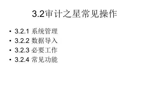 审计之星常见操作