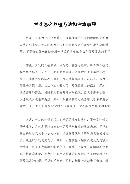 兰花怎么养殖方法和注意事项