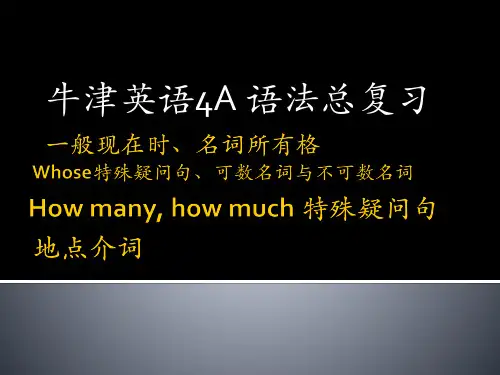 上海版牛津英语 4A 语法总复习