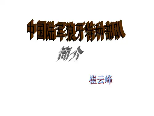 中国陆军狼牙特种部队