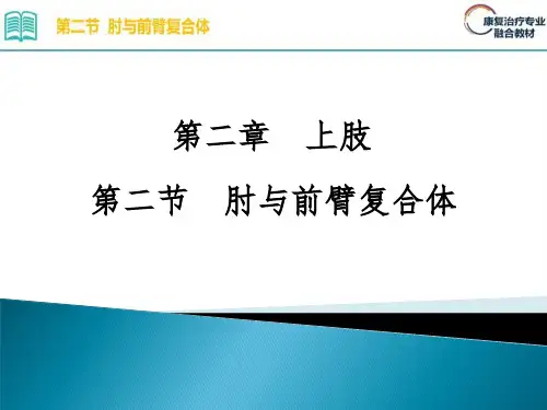 2.2.第二章 上肢 第二节 肘与前臂复合体
