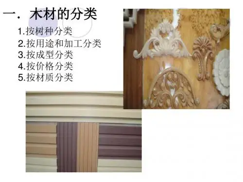 一木材的分类