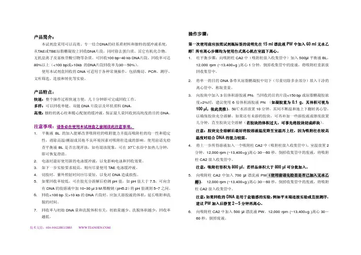 胶回收试剂盒
