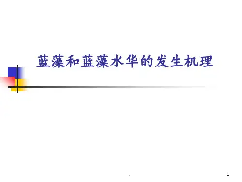 蓝藻和蓝藻水华的发生机理PPT课件