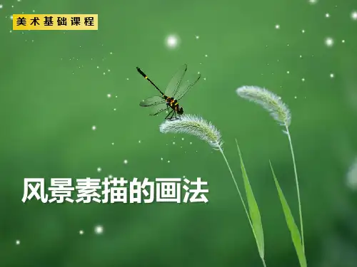 风景素描的画法-PPT课件