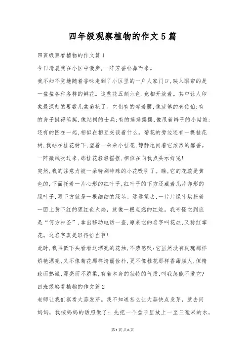 四年级观察植物的作文5篇