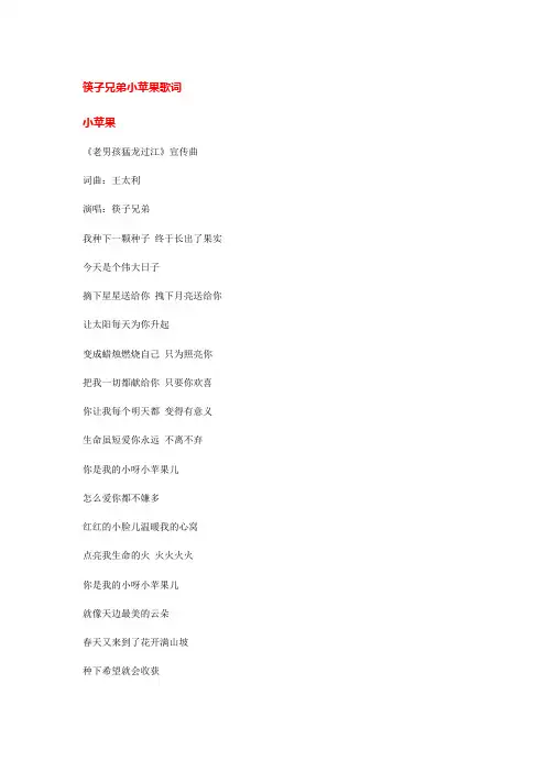 筷子兄弟小苹果歌词