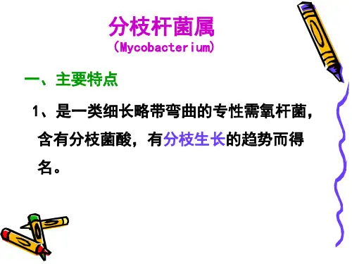 医学微生物-第十三章 分支杆菌属