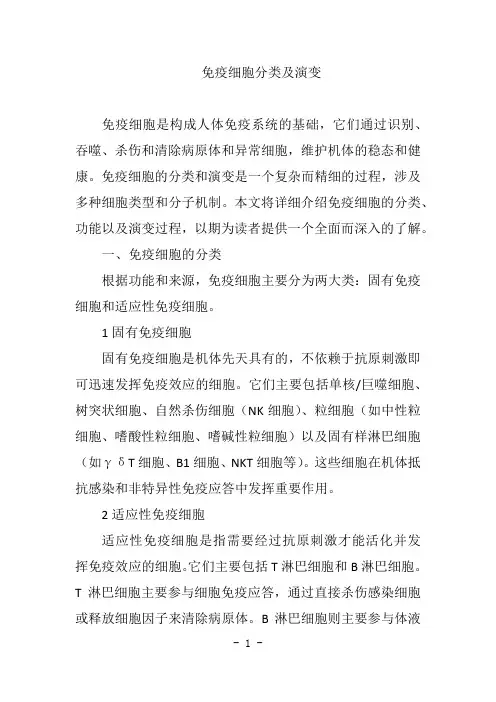 免疫细胞分类及演变