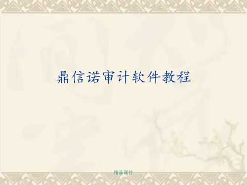 鼎信诺审计软件教程ppt课件