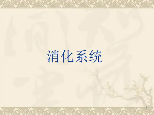 胃肠道正常与基本病变
