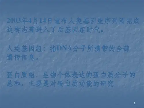 凝胶色谱法