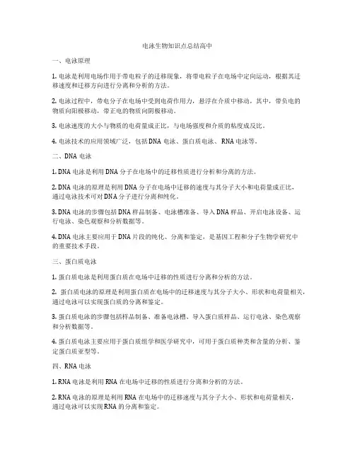 电泳生物知识点总结高中