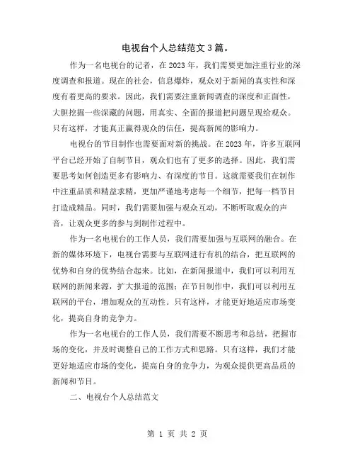 电视台个人总结范文3篇