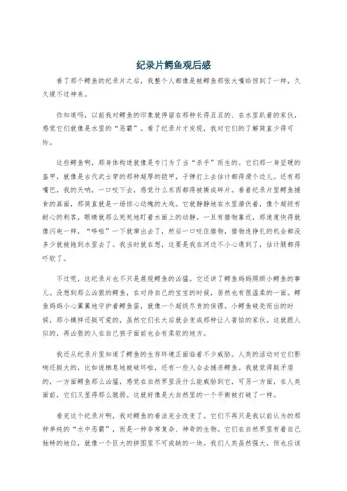 纪录片鳄鱼观后感