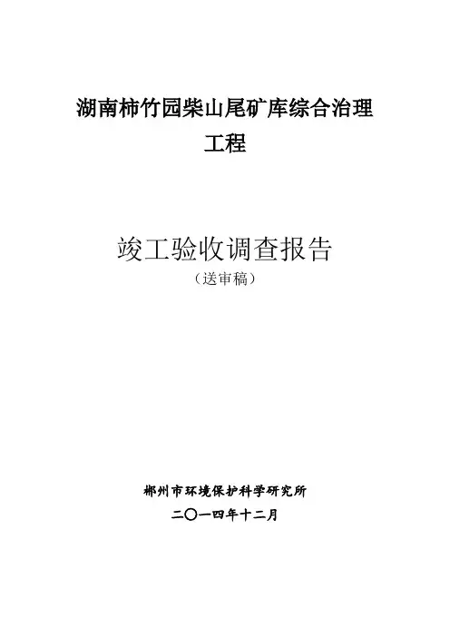 (公司制理)(送审稿)湖南柿竹园柴山尾矿库综合治理工程竣工验收报告