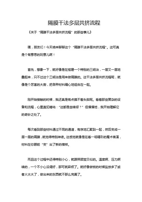 隔膜干法多层共挤流程