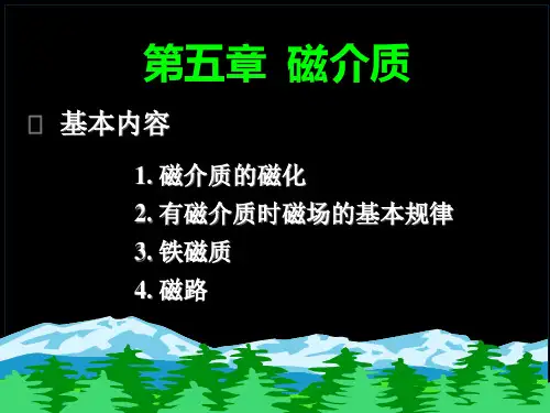 磁介质解析PPT教学课件