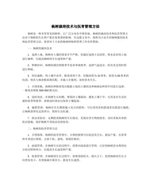 杨树栽培技术与抚育管理方法