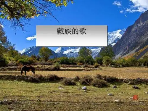 《藏族的歌》PPT课件(上课用)