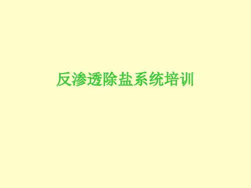 化学反渗透除盐工艺培训