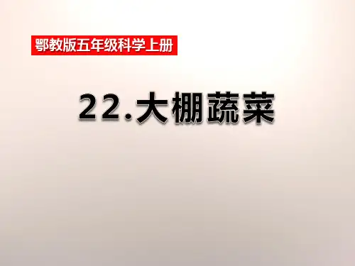 《大棚蔬菜》农田 PPT实用课件