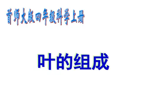 首师大小学科学四上《4叶的组成》课件(精改版)