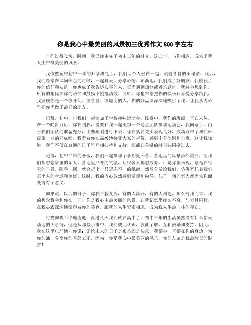 你是我心中最美丽的风景初三优秀作文800字左右