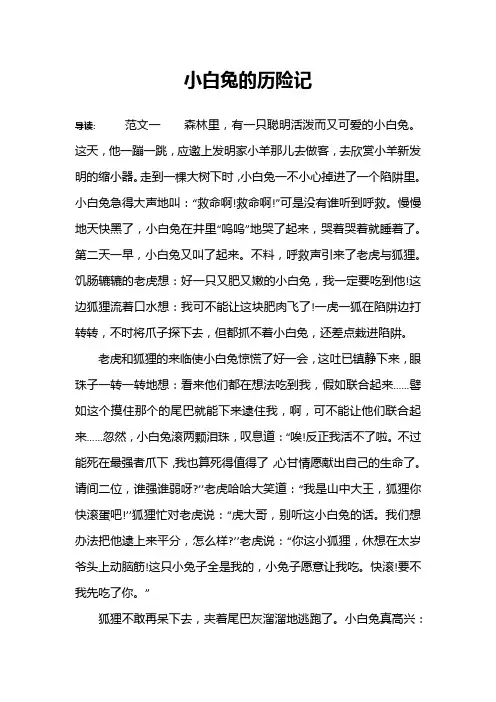 小白兔的历险记