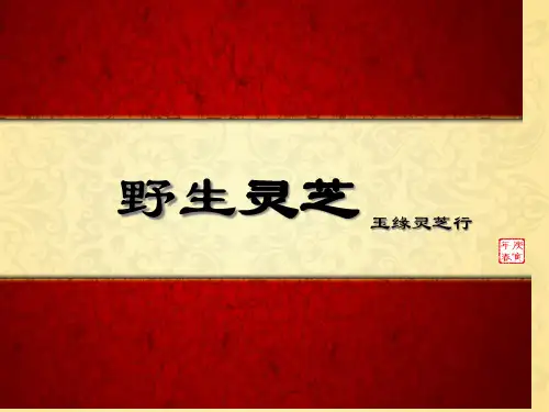 野生灵芝优质获奖课件