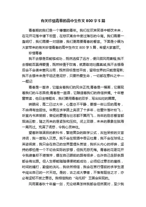 有关珍惜青春的高中生作文800字5篇
