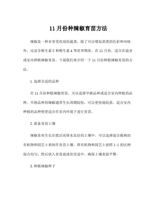 11月份种辣椒育苗方法