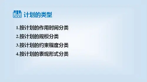 252计划的类型护理管理学
