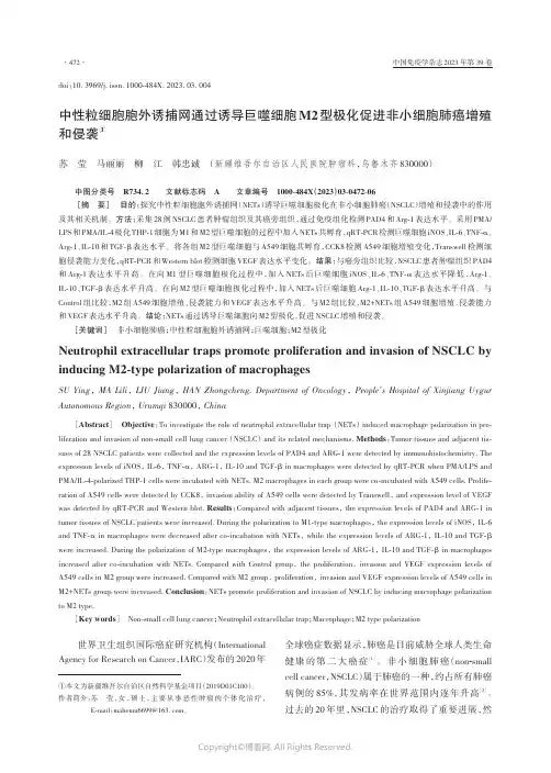 211105470_中性粒细胞胞外诱捕网通过诱导巨噬细胞M2型极化促进非小细胞肺癌增殖和侵袭
