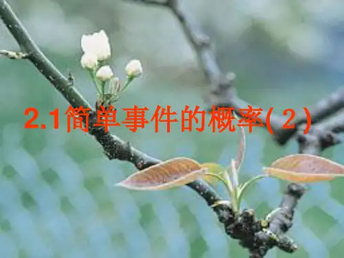 浙教版简单事件的概率PPT教学课件