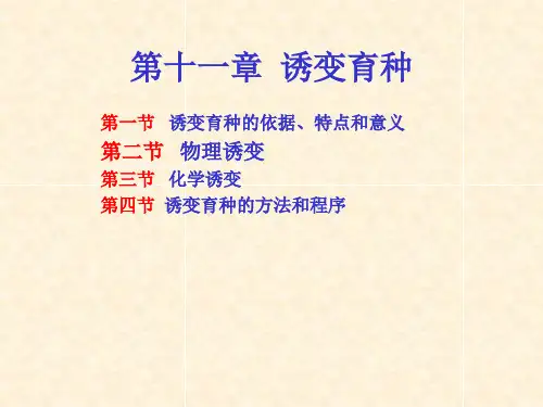 第十一章  诱变育种ppt